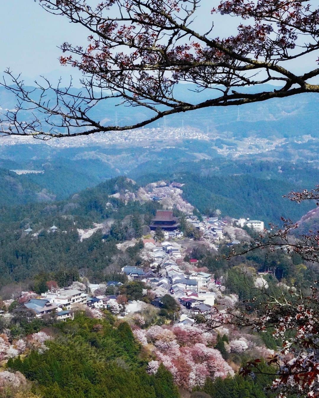Koichiさんのインスタグラム写真 - (KoichiInstagram)「| Shangri-La . . #BeautifulJapan #Hellofrom #Nara #吉野山 #また来年👋🏼 .」4月10日 21時31分 - koichi1717