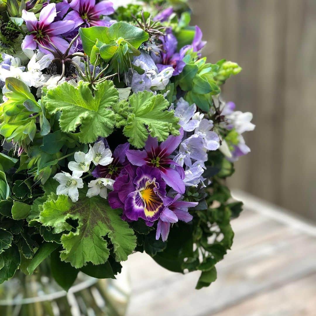 ニコライ・バーグマン・フラワーズ＆デザインのグルメインスタ