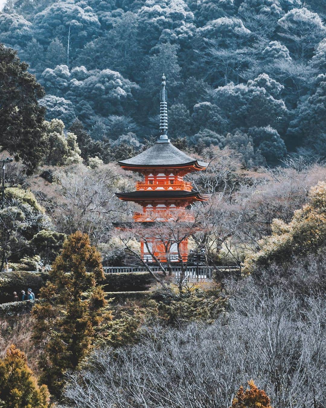 woody_chaiのインスタグラム：「.」