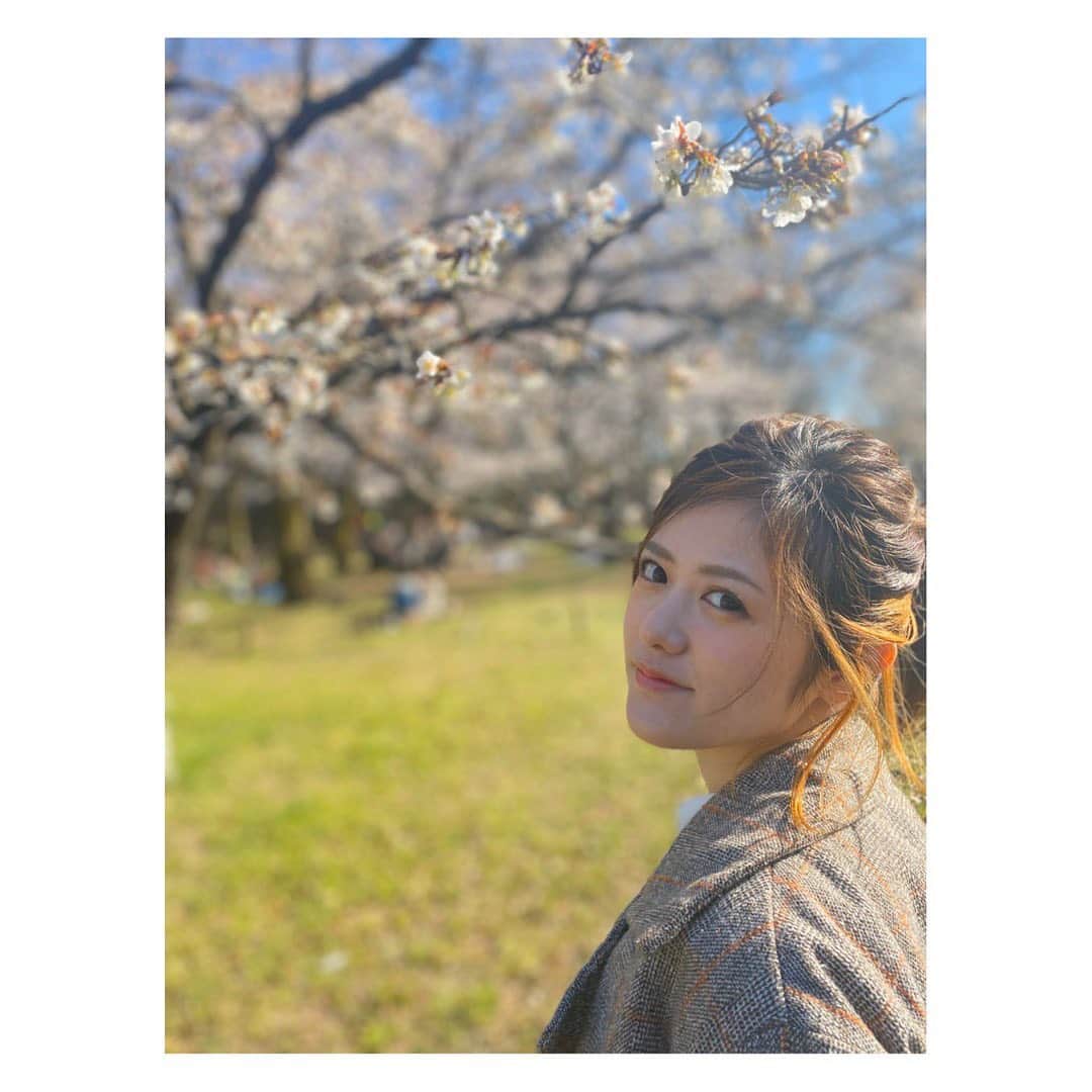 AIMIさんのインスタグラム写真 - (AIMIInstagram)「きれいな桜🌸 ❤︎ ❤︎ (upしている写真は最近のものではないのでご安心ください😉 毎年恒例のお花見会は来年の楽しみに取っておく、 そうするとまた集まれたときに喜びが何倍にも感じられるはず☺️ 悲しみ〜〜・・なお知らせになってしまいますが、 4月15日(水)のイベントにつづき、 予定していた 4月29日(祝・水)のライブイベントも開催延期となってしまいました😢💦 今年のライブ活休明けの復活ライブはコロナウイルスに尽く阻まれ延期となってしまっています🙇‍♀️ 去年からAIMIライブをずっと待っていてくれているファンの皆様には寂しい気持ちにしてしまうのが本当に心苦しい・・。けど。 だから、こそ‼️ 今までよりもYouTubeの動画コンテンツを配信したり、ライブ映像を公開したり、 みんなに生ライブとは違った方法で楽しんでもらえたらいいなっ！と、日々練って、作っています😌✨✨ そう、生きていればまた必ず会えるからね🤝❤️ 正直、ライブが無くなってしまうとイベンターさんやライブハウス、そして出演するアーティストはとても大打撃をくらってしまいます⤵︎⤵︎ みんなの命を守るための選択なのでマイナスなことはないし、落ち込んでもいられませんが、 この文章を読んでなにか感じてもらえたら、 応援してくれているみなさんにもチカラを貸してもらえると嬉しいです🙏 ネットを通じての応援もさまざまな方法があるので☺️ AIMIのことも、より踏ん張るため応援してくれている声、とても嬉しいし、 AIMI自身も大好きな居場所、ライブハウスなどを守るための行動を取りたいと思います❗️💪 桜は散ってしまったけど、 また咲いてくれるから、ね🌸  そんな心で私たちの笑顔の輪を広げていきましょう😊❤️ ❤︎ ❤︎ Youtube チャンネル ⬇︎ AIMI Official AIMI(ex.ステレオポニー)　オフィシャルチャンネルです https://www.youtube.com/channel/UCHNs6jg7gZgFmTs5KyfwpWg  ステイホームな時間にYouTube再生、サブスク視聴、ぜひよろしくだぜいっ🏠♪ みんな〜〜、大丈夫、一人じゃないからね🥰  #AIMI#stayhome##桜#tokyo#nomusicnolife#絆」4月10日 21時57分 - my_name_is_aimi