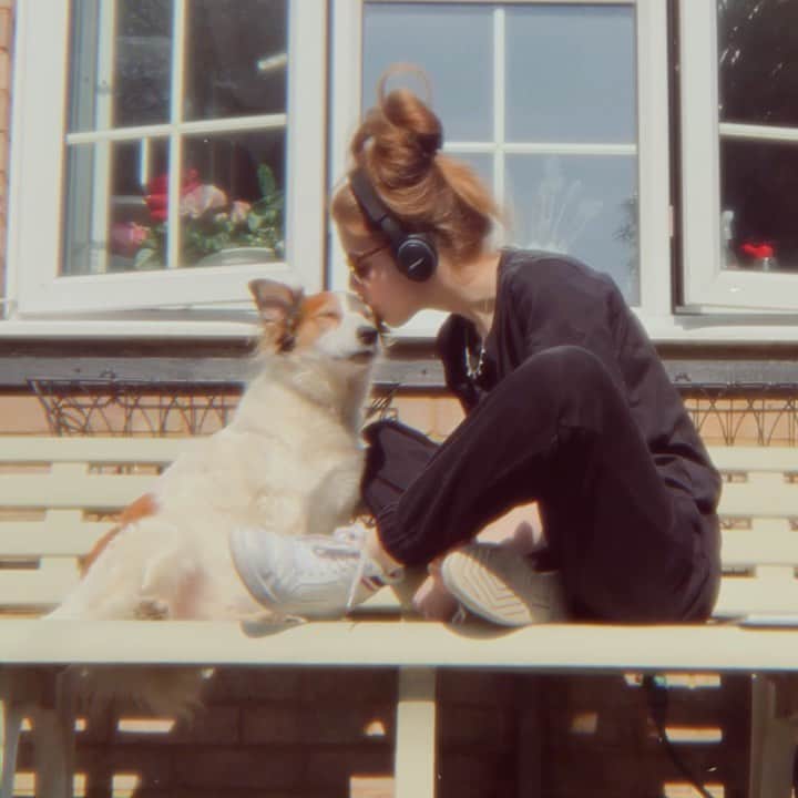 Amelia Gethingのインスタグラム：「Working from home with my best bud 🐾」
