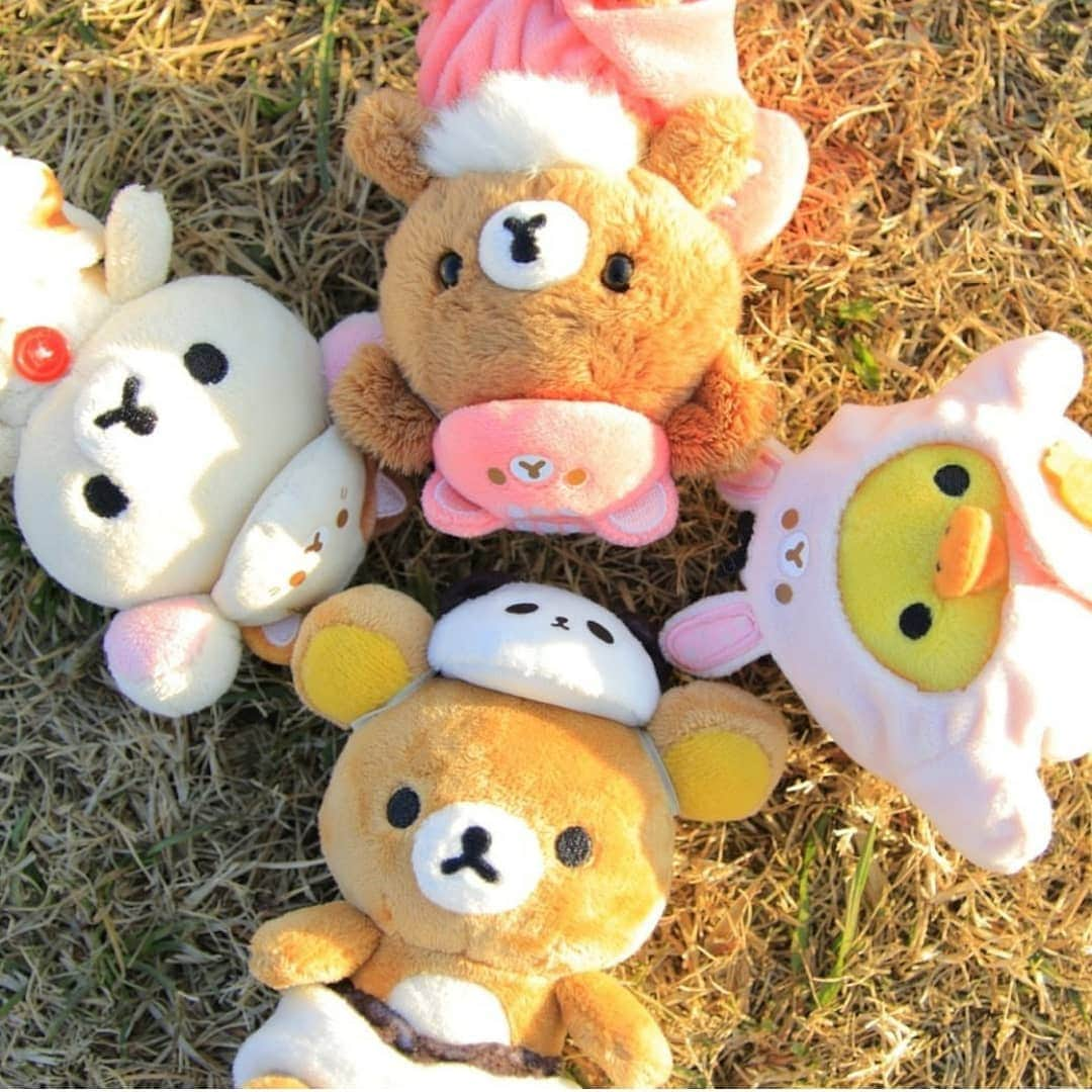 Rilakkuma US（リラックマ）さんのインスタグラム写真 - (Rilakkuma US（リラックマ）Instagram)「Rilakkuma and friends really enjoy dressing up as other animals! Check out these cute new costumes they made for spring! . . . #rilakkumaus #rilakkuma #sanx #kawaii #plush #toy #japan #リラックマ #サンエックス」4月11日 4時39分 - rilakkumaus