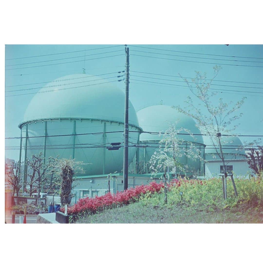 Takaoさんのインスタグラム写真 - (TakaoInstagram)「. sakura around . #nikon  #fujifilm  #filmphotography  #indies_gram  #indy_photolife  #35mm  #ifyouleave .」4月10日 23時11分 - takaozan_2