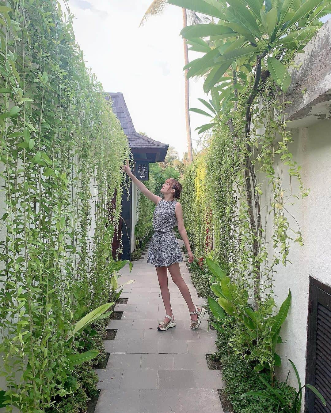 のインスタグラム：「. 緑のカーテン ------------------------------ ✈️#インドネシア 🌲#indonesia  #レンボンガン島 🗾#レンボンガン島ビーチリゾート (#lembonganbeachclubandresort ) --------------------------- #genic_bali #genic_trip #genic_travel #タビジョ#tabijyo #tabijyobali #バリ島旅行#バリ島#tabijyo_hotel #baliindonesia #コーデ#島女子#イチナナ#女子旅#バリ島旅行#」