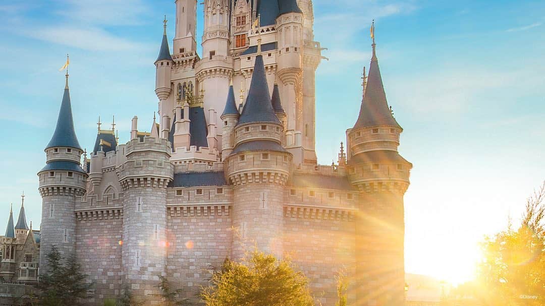 Walt Disney Worldのインスタグラム：「Bring a little magic to your video calls with virtual backgrounds designed to transport you to some of your favorite Disney spots, from Cinderella Castle to Spaceship Earth. Explore the collection at the link in our bio. #DisneyMagicMoments ✨」