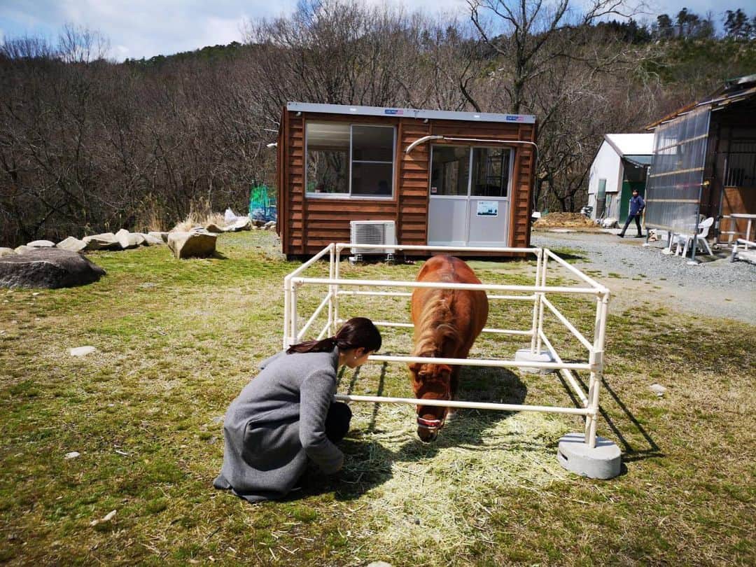 中根夕希のインスタグラム：「🌷 皆さま、お元気に過ごされてますでしょうか。  広島県も、週末の外出自粛要請が出されました。 毎日感染者数が増えてゆき、日々、ニュースをお伝えしていてもとてもとても怖いです。 これからもっともっと耐えねばならぬ状況になっていきそうな、、もしかすると自分の身近な人が、自分が、 感染者・濃厚接触者になるかもしれません。 その覚悟は、、みなさんどおですか？ 私は、、まだちゃんとできてないかも。 怖くって。  終わりの見えない、 長い長いトンネルです。  日常が恋しい。 でも、自分の命は最後は自分で守るしかない。  我慢が続くのはしんどいけど、、 でも今を受け入れるしかなくって。 苦しいことよりも 例え小さくても、その喜びを楽しみにできるように。 心穏やかに。  トンネルもいつかは出口があるはず！ その光を信じて。 私も日々、暮らしていこうと思ってます。  明るくほっこりできること、 ここでも共有できれば！と思ってます。  来週からも広島の最新ニュースお伝えしますので、 どうぞよろしくお願いします。  #広島　#rcc #みなさんがんばりましょね #どうか最小限で留まりますように」