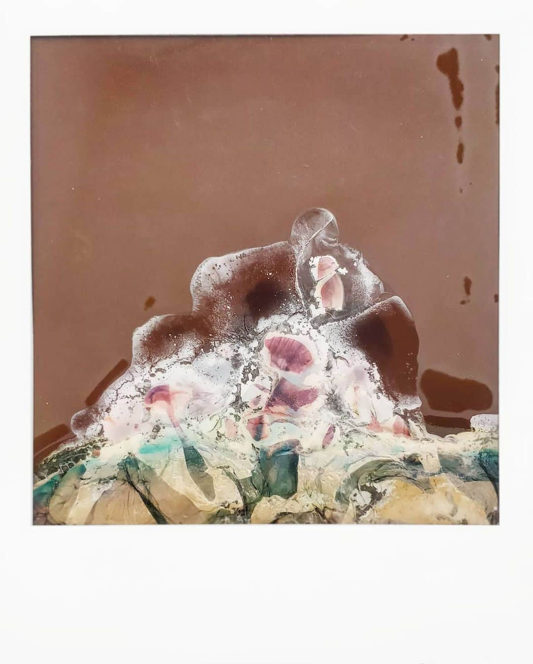 ファンデルフルスト舞花のインスタグラム：「Polaroid soup of sakura I tried to photograph last year in Japan #polaroidsoup #onestep2 #polaroidoriginals」