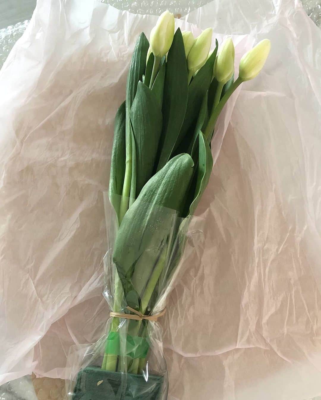 ソン・ジインさんのインスタグラム写真 - (ソン・ジインInstagram)「온라인으로 처음 주문해본 꽃 너무 예쁜 튤립 대만족🌷  집에있는 시간이 늘면서(이걸로 모든 핑계대는중..) 온갖 온라인마켓 구경중🙄」4月11日 0時08分 - wivina_jiin