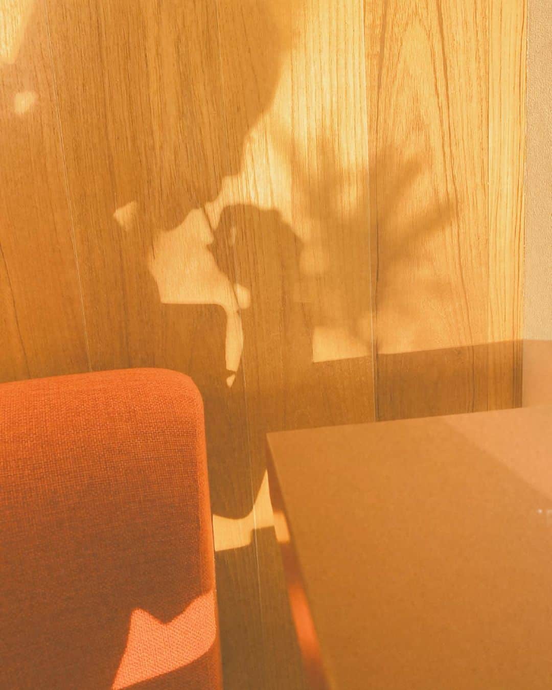 マイコ さんのインスタグラム写真 - (マイコ Instagram)「* 🌇 ・ ・ 強い光を浴びるほど 影は濃くなる。 そうゆうもの。 生きてるって事だよ。 ・ ・ ・ myストローしまおうとしたら 洗いますよってお店の方が 洗ってくれた。 今日もいい日でした。 ・ ・ ・ ・ #goodday」8月10日 20時50分 - maicorori