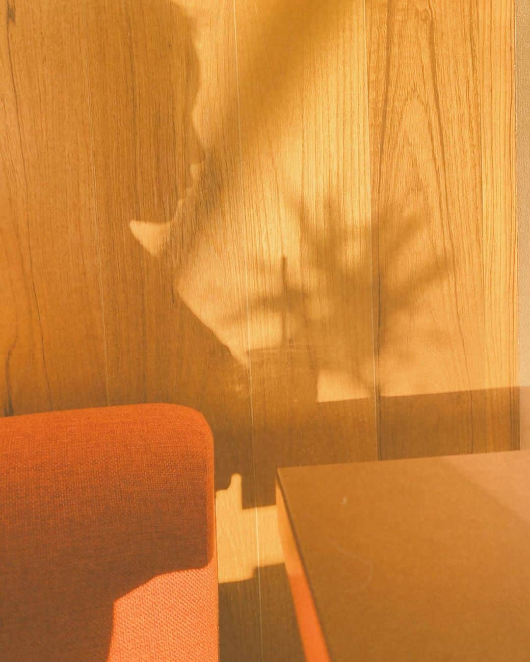 マイコ さんのインスタグラム写真 - (マイコ Instagram)「* 🌇 ・ ・ 強い光を浴びるほど 影は濃くなる。 そうゆうもの。 生きてるって事だよ。 ・ ・ ・ myストローしまおうとしたら 洗いますよってお店の方が 洗ってくれた。 今日もいい日でした。 ・ ・ ・ ・ #goodday」8月10日 20時50分 - maicorori
