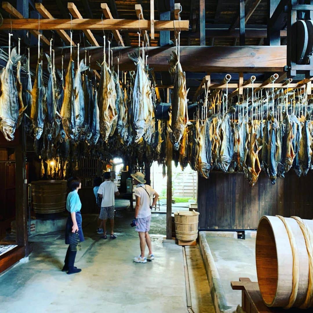 shin -SAKE instructor-のグルメインスタ