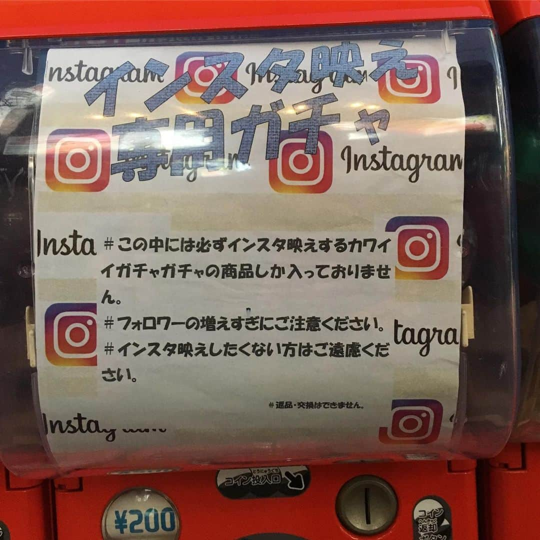 pantoviscoのインスタグラム