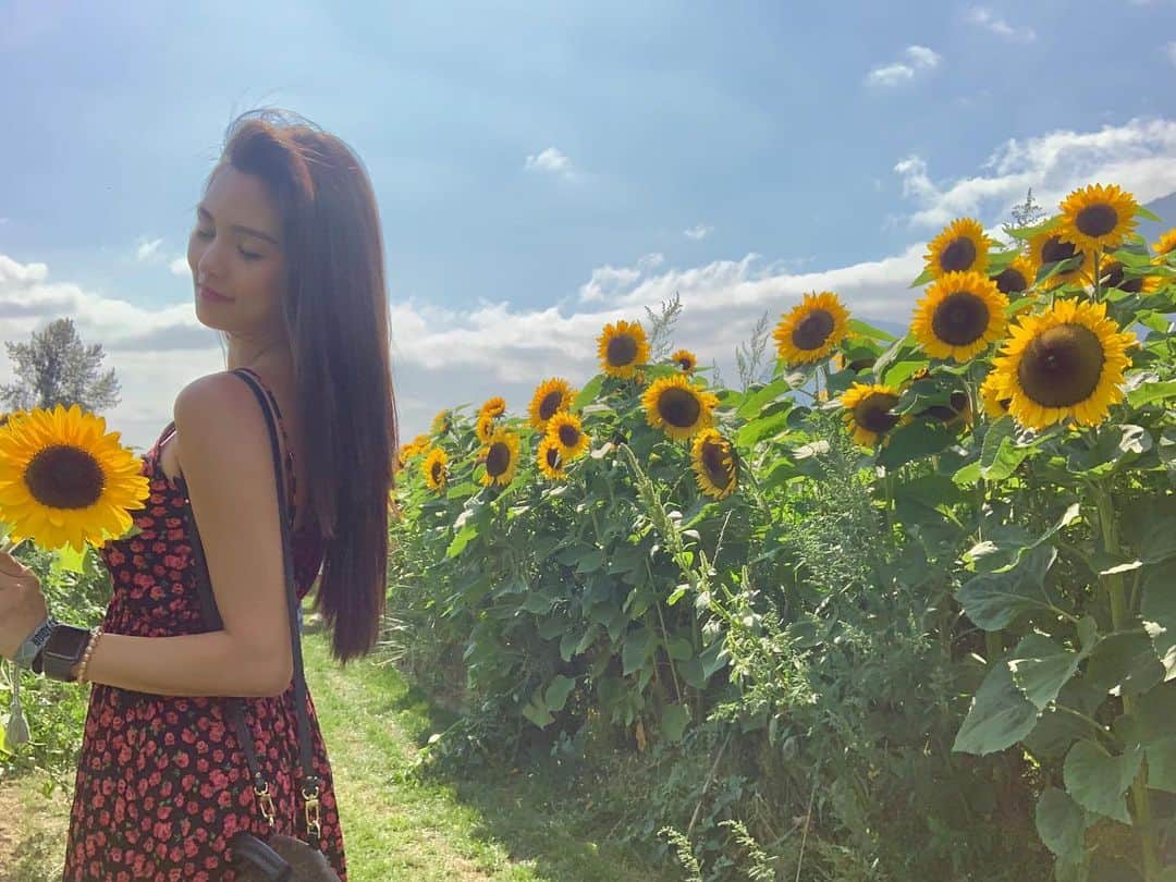 Kim Chiuさんのインスタグラム写真 - (Kim ChiuInstagram)「“Sunflower field is like a sky with a thousand suns.” 🌻☀️🌻☀️🌻 swipe left 👉🏻. . . was really amazed by this place!! grabe never imagined to see a field of sunflower ever in my life!!! ganto pala sila!!! its so big bright and sunny!!! nakaka happy!!!😊☀️🌻 #chiurista #ootdksyc」8月10日 21時15分 - chinitaprincess