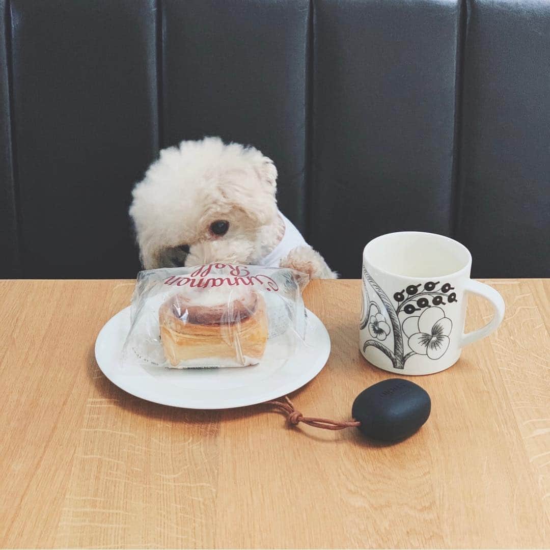 mizuのインスタグラム：「. ろちこも食べたいシナモンロール•ᴥ• . . sudioで音楽聴きながらのいつかのおやつ❁ . . . @sudio https://www.sudio.com/jp/ . . ○15％オフクーポン［ mizu15 ］ 有効期限‪ : 10/31まで‬ . . Thank you @sudio #PR #sudio #sudiomoments . .」