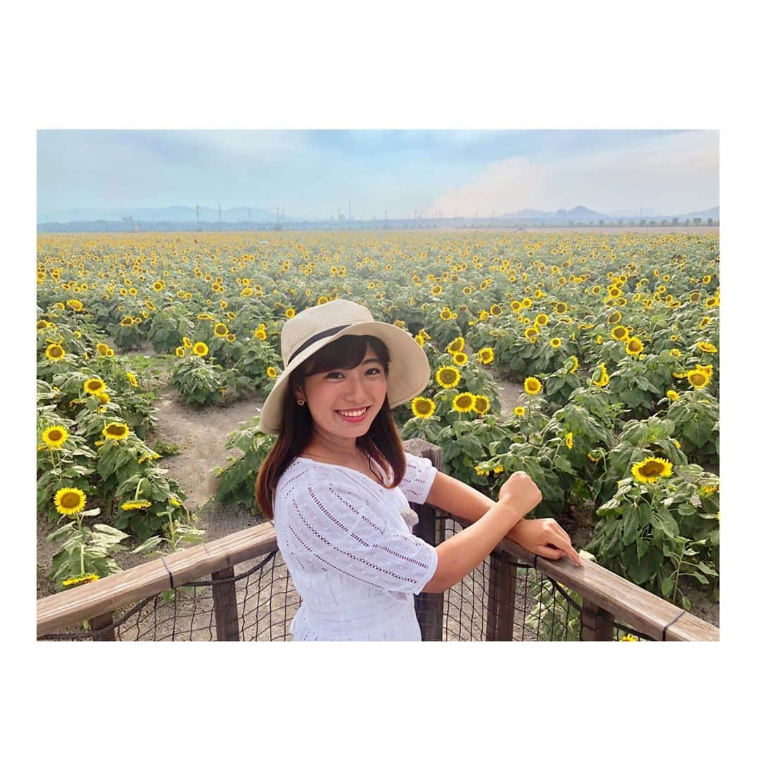 白戸ゆめのさんのインスタグラム写真 - (白戸ゆめのInstagram)「🌻 . 《笠岡ベイファーム》 夏の風物詩を中継でお伝えしました💕 100万本のひまわりは圧巻！！ やっぱり1番大好きなお花😘 . 白いワンピース👗に麦わら帽子👒 いわゆる「#白戸流夏最強コーデ」でした！笑 one-piece: @jusglitty_official ❁❁❁ . 綺麗だったなー✨ . #ksb #瀬戸内海放送 #5ch #jチャンネル #アナウンサー #白戸ゆめの #夏 #中継 #金曜 #白金中継始めました と言ってみる笑 #岡山 #笠岡 #道の駅 #笠岡ベイファーム #ひまわり畑 #長靴 #全然飛ばなかった😂」8月10日 21時38分 - yumeno.s_