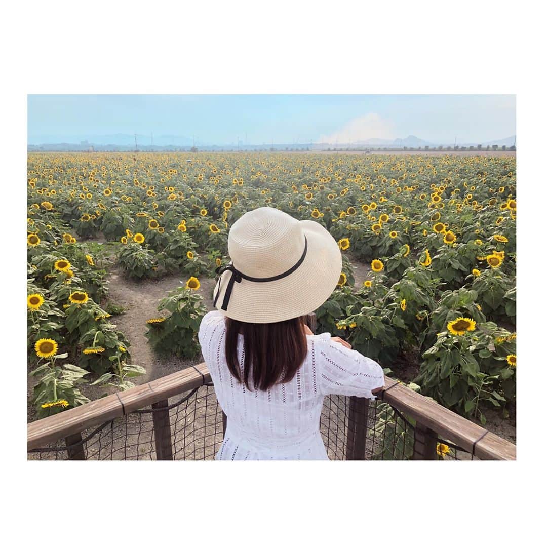 白戸ゆめのさんのインスタグラム写真 - (白戸ゆめのInstagram)「🌻 . 《笠岡ベイファーム》 夏の風物詩を中継でお伝えしました💕 100万本のひまわりは圧巻！！ やっぱり1番大好きなお花😘 . 白いワンピース👗に麦わら帽子👒 いわゆる「#白戸流夏最強コーデ」でした！笑 one-piece: @jusglitty_official ❁❁❁ . 綺麗だったなー✨ . #ksb #瀬戸内海放送 #5ch #jチャンネル #アナウンサー #白戸ゆめの #夏 #中継 #金曜 #白金中継始めました と言ってみる笑 #岡山 #笠岡 #道の駅 #笠岡ベイファーム #ひまわり畑 #長靴 #全然飛ばなかった😂」8月10日 21時38分 - yumeno.s_