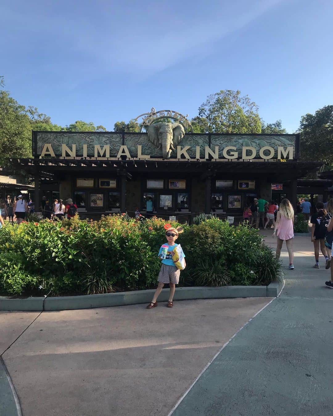 tiahy__のインスタグラム：「Disney’s Animal Kingdom 🐘🐆🦒🦔🦛🦌🐅. . . . この旅で、1番心に残って、とっても大好きになった場所. . . . 大自然の中、のびのびとしていて、ゆったり過ごせて、本当に楽しかった！. . . そして、この旅行の中で、本当に本当に乗ってよかったと思うアトラクションNo.1は“KILIMANJARO SAFARIS” . . .  朝一だと、動物たちがたくさん出てきてくれているらしいので、ファストパス+も取っていて、朝一で行きました. . 案の定、たくさんの動物たちを、あんな間近で見ることができて、 taiちゃんも、すごく楽しんでいました^^ . . 草の香り、水の音、動物たちの動く姿を体感しながら、大自然の中をジープに乗ってガタンゴトン. 機械化されていない、本当の大自然. もう全てが圧巻で、終始胸が高鳴っていました！ . こんなに楽しくて、心から感動したアトラクションは初めてです. . . taiaにとっても、ものすごく衝撃的で、ずっと心に残っているようで、 この日以降、自然や動物がもっと大好きになりました. .  また絶対に行こうねと決めています . . . . . . . IGTVにはフルバージョンを🦍. . .  #wdw#animalkingdom #kilimanjarosafaris #waltdisneyworld#disney#disneybaby#disneykids#disneyfamily」