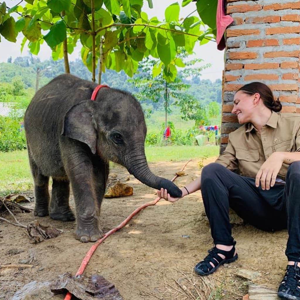 ブリアナ・エヴィガンのインスタグラム：「Yesterday was a rough one. I got to spend time with an elephant that was caught in a snare and rescued. Her injury has healed well but her spirit has not. It sure feels like there is not much winning out here. There are many cultural and political issues we’re unaware of back home that we need to take into consideration that I’ve been informed of. There is suffering on ALL ends and none of it is fair. One thing I know is we must keep the animals in the wild, and we must support banning snares to do so. Elephants need love to survive too. They die from heartbreak all the time too. My heart truly broke experiencing their pain yesterday. Us humans need healing just like the animals, but it’s gotta start with us for the world to heal at all. #freedom #healyourself #selma end with a fake birthday? There’s always light in the darkness. 🧡」