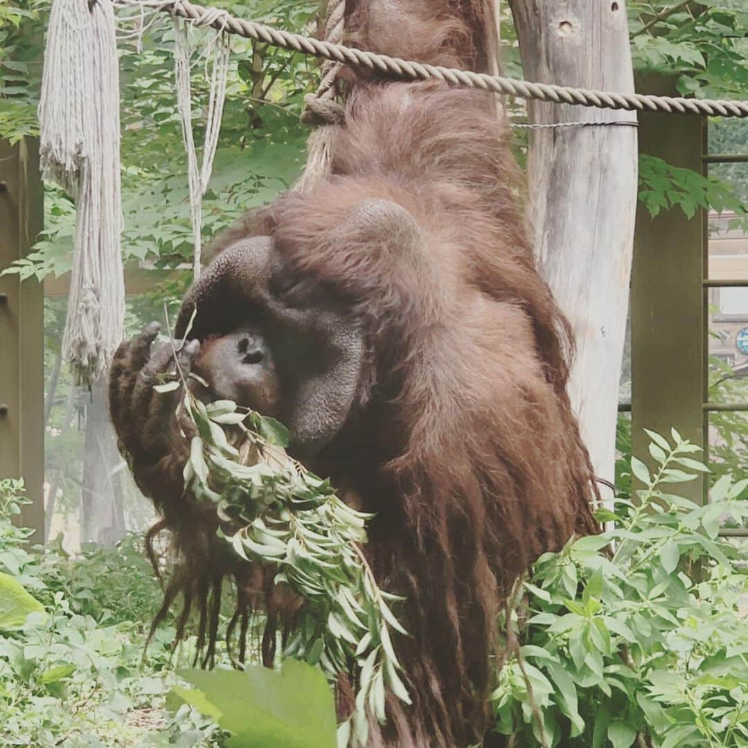 くっきー（川島邦裕）さんのインスタグラム写真 - (くっきー（川島邦裕）Instagram)「#未来を感じる #未来を感じる建物を見ると #過去を知りたくなる #建つ前の土地 #草木 #そこに住んでいた生き物 #そこにあったそれぞれの生活 #それを人間が壊し未来を建てる #要するに未来とは #破壊ののち生まれる #当たり前の事 #欲望のままに生きし人間 #欲望のままに生きし時代 #しかし #その時代も終わりを告げようとしている #だってぇー #セックスしただけで #週刊誌のったりぃー #怒られたりすんだよぉ #ちょーイヤなんですけどぉー #セックスに自由をぉー❤︎ #てぽっ×100兆❤︎」8月10日 13時02分 - nikuguso_taro