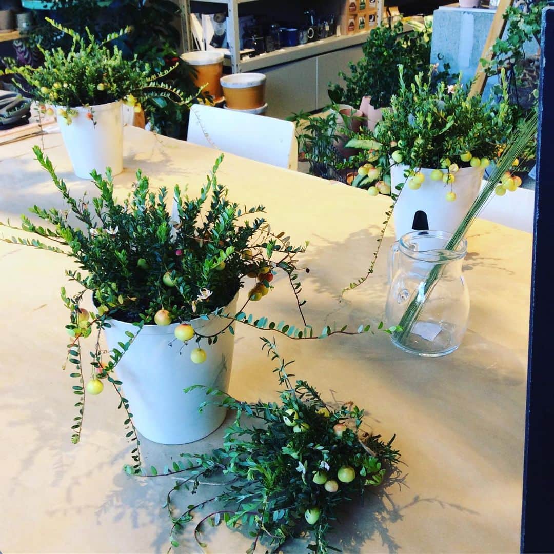 TODAY'S SPECIALさんのインスタグラム写真 - (TODAY'S SPECIALInstagram)「＜MARKET-Kyoto＞ BALでは「AUTUMN BAL Collection 2019 "MATSURI"」として館内で様々なイベントが開催中！ TODAY'S SPECIAL Kyotoでは、京都の作り手さんにお越しいただくMARKETや気軽にご参加いただけるWORKSHOPを3日間開催します。 . 1日目の本日は、津乃吉さんの無添加の佃煮を使った「すずめおむすび」販売や、中村風鈴店さんの風鈴、器の販売と木版画WORKSHOP、FLOWERgriotteさんのクランベリーとローズマリーのミニスワッグ作りなど盛りだくさん！ . 外は暑いですが、京都BALの"MATSURI"を是非お楽しみください。 . #todaysspecial #トゥディズスペシャル #京都バル #kyotobal #津乃吉 #griotte #中村風鈴店」8月10日 13時09分 - cibone_ts
