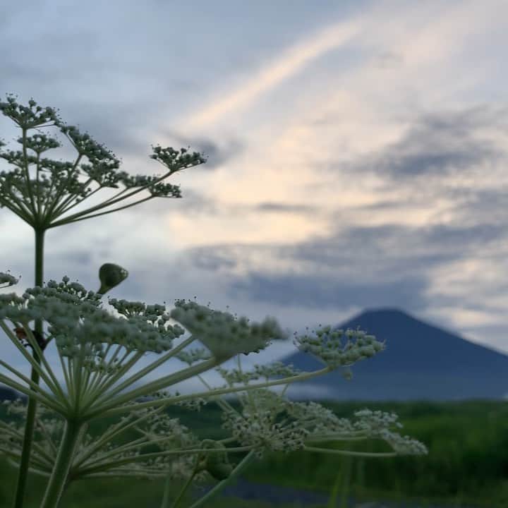 phantastic420のインスタグラム：「. 🤩🤩“Shizuoka” prefecture in Japan is a place where you can see the most “phantastic” Mt. Fuji🗻 in the world.🤩 #富士山 #mtfuji #japan #shizuoka #fujinomiya  #phantastic420photography #mostphantasticmtfuji #selamatpagi  #goodmorning  #おはようございます 😇😇😇😇😇😇😇🗻😇😇」