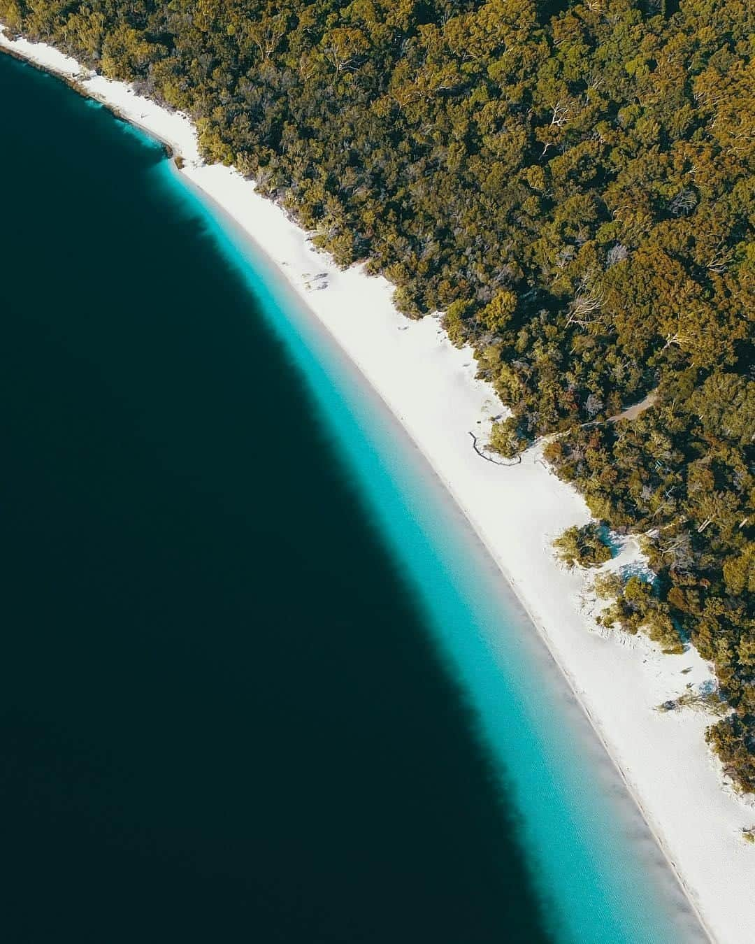 Australiaさんのインスタグラム写真 - (AustraliaInstagram)「You know the saying: After the rain, comes a full #LakeMcKenzie! 😉 @yaaannnnnnn absolutely loved the colour of this perched lake on @fraserisland, which is fed entirely by rainwater. As one of the most popular natural attractions on @queensland’s @visitfrasercoast, this #lake isn’t fed by streams and doesn’t flow to the ocean; the rainwater is retained by the sand and organic matter at the base instead. Walk along the soft white sand, take a swim in its incredibly pure water, and stick around till sunset to see how the light brings out the blues and greens of the water.  #seeaustralia #thisisqueensland #visitfrasercoast #fraserisland #naturephotography #travel」8月10日 15時00分 - australia