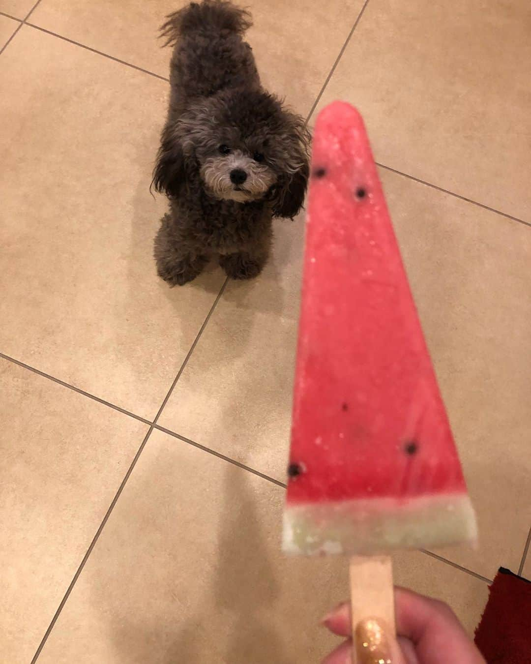 山下莉奈さんのインスタグラム写真 - (山下莉奈Instagram)「夏だ🍉💕スイカはそんなに好きじゃないけどスイカバーは好き😋  #ぼくは鼓太郎」8月10日 15時26分 - rinayamashita