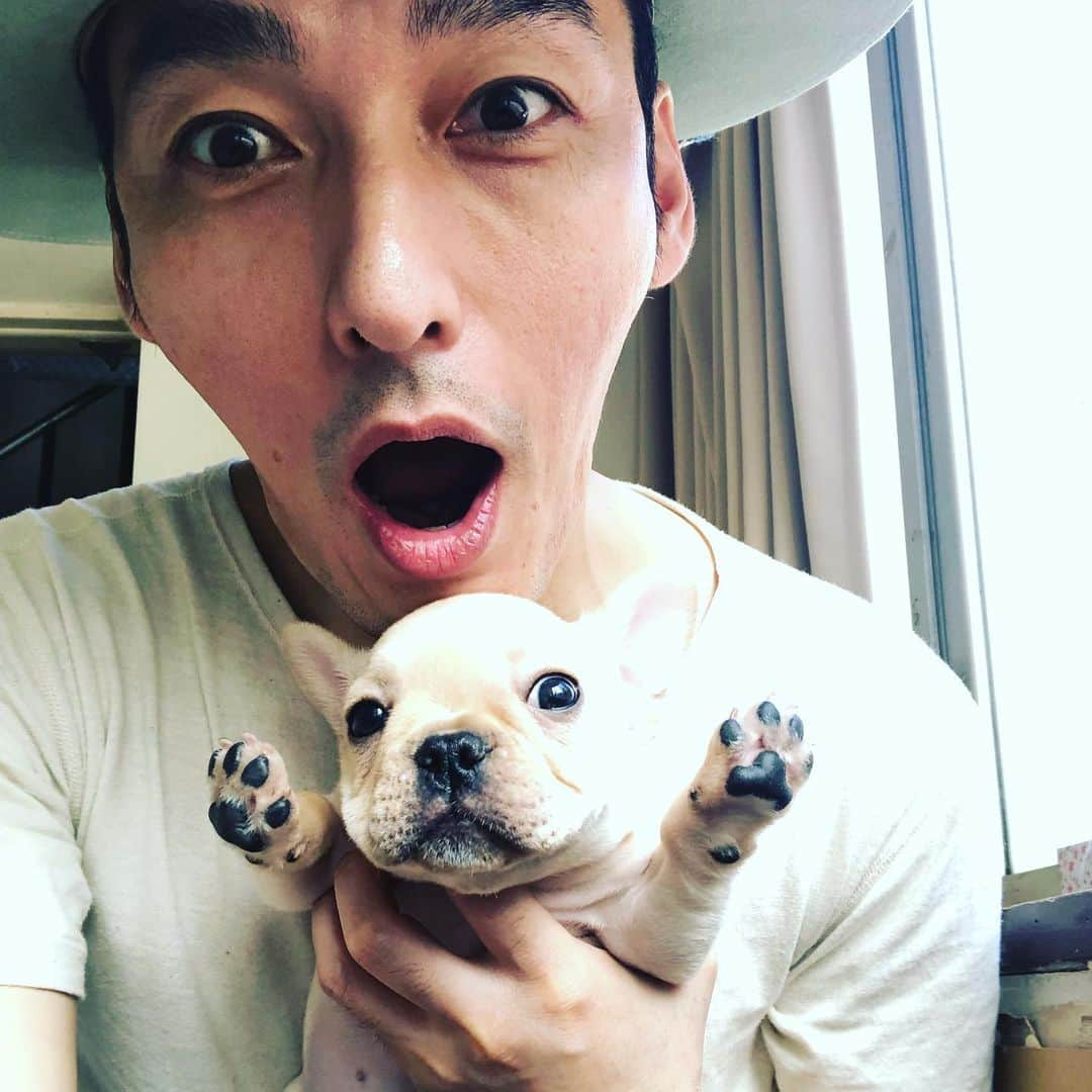 草彅剛さんのインスタグラム写真 - (草彅剛Instagram)「ぶっ、バー！ 暑さ、やばいです！ フレブル赤ちゃん、やばいです！ #台風家族9月6日公開  #草彅剛ギターはっひょう会」8月10日 15時43分 - tsuyoshikusanagi_official