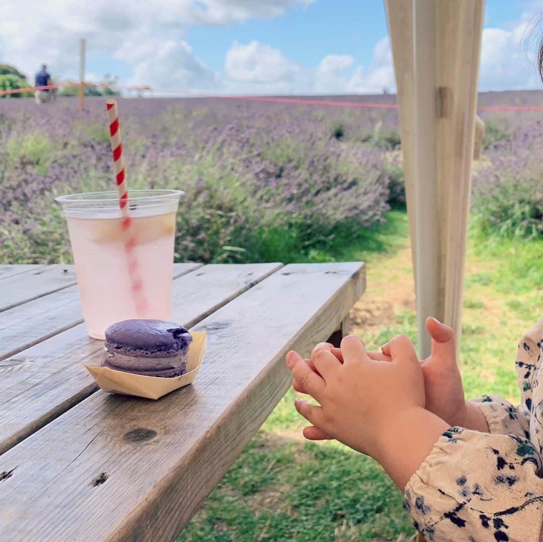 MEGさんのインスタグラム写真 - (MEGInstagram)「Lavender Iced Tea & toastie 🌾🌾🌾 ←米」8月10日 15時38分 - _x_meg_x_