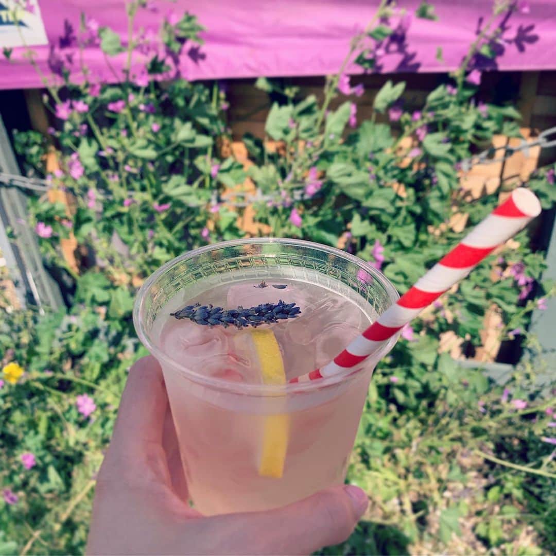 MEGのインスタグラム：「Lavender Iced Tea & toastie 🌾🌾🌾 ←米」