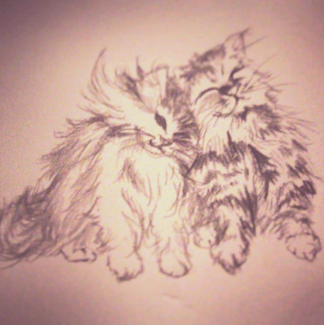 澤田友美さんのインスタグラム写真 - (澤田友美Instagram)「. ねこ😺✍️ . . #Drawing#cat」8月10日 16時12分 - tomomi__sawada