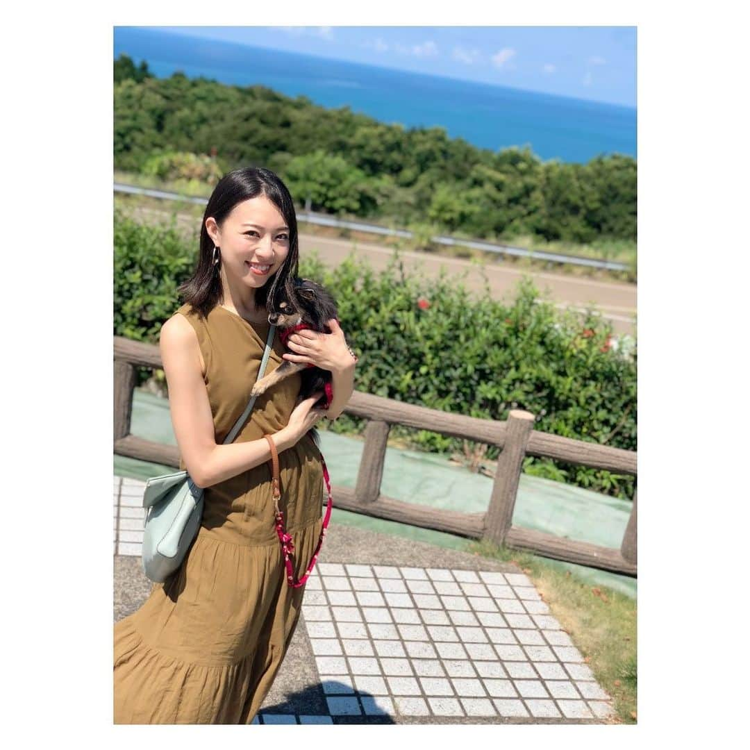 愛加あゆさんのインスタグラム写真 - (愛加あゆInstagram)「先日から撮影していた作品。昨日オールアップしました！暑いなかでの撮影。季節はずれの衣裳で汗だくでしたが、スタッフの方々のお気遣いとマネージャーが用意してくれた冷えピタを身体中に貼ったお陰でバテる事なく乗りきる事が出来ました。 皆様も夏バテには充分気をつけて下さいね！ 放送はまだ先になりますので、また改めて皆さまにご報告させて頂きます(´ ˘ `∗) そして、撮影終了後に富山へ♪ 今日からは家族揃ってドライブしながら旅行へ来てます♪家族全員揃っての旅行はとても久しぶりです！楽しむぞ♪  #家族旅行 #富山 #とやまふるさと大使 #ありぃ #犬 #dog #チワワ #犬アレルギーに負けない #愛加あゆ」8月10日 16時12分 - manaka_ayu