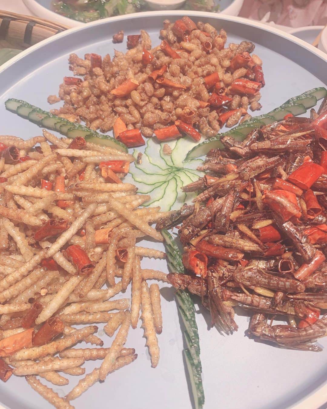 青木美沙子さんのインスタグラム写真 - (青木美沙子Instagram)「中国で初めて虫を食べました！！ イナゴなどなど、有名みたいです！カリッと揚がっていて、正直美味しかったです笑笑昆明の名物で、タンパク質も多いからみんなよく食べるらしいです！！ #昆明 #虫を食べました #初挑戦」8月10日 16時15分 - misakoaoki