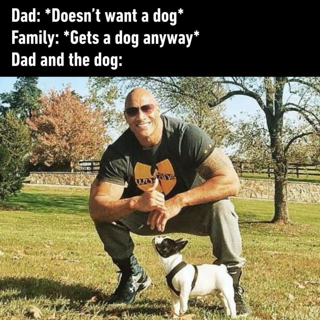 9GAGさんのインスタグラム写真 - (9GAGInstagram)「And the dog takes your place as his only child⠀ #dog #dad #dwaynejohnson @therock」8月10日 22時00分 - 9gag