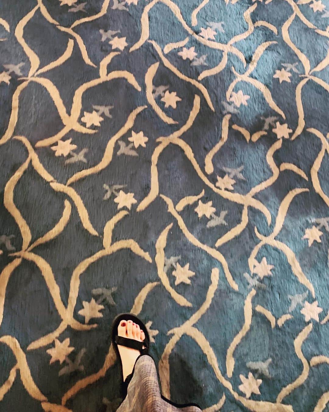 小谷実由さんのインスタグラム写真 - (小谷実由Instagram)「かわいい絨毯よ、ふかふかよ☁️☁️☁️」8月10日 21時53分 - omiyuno
