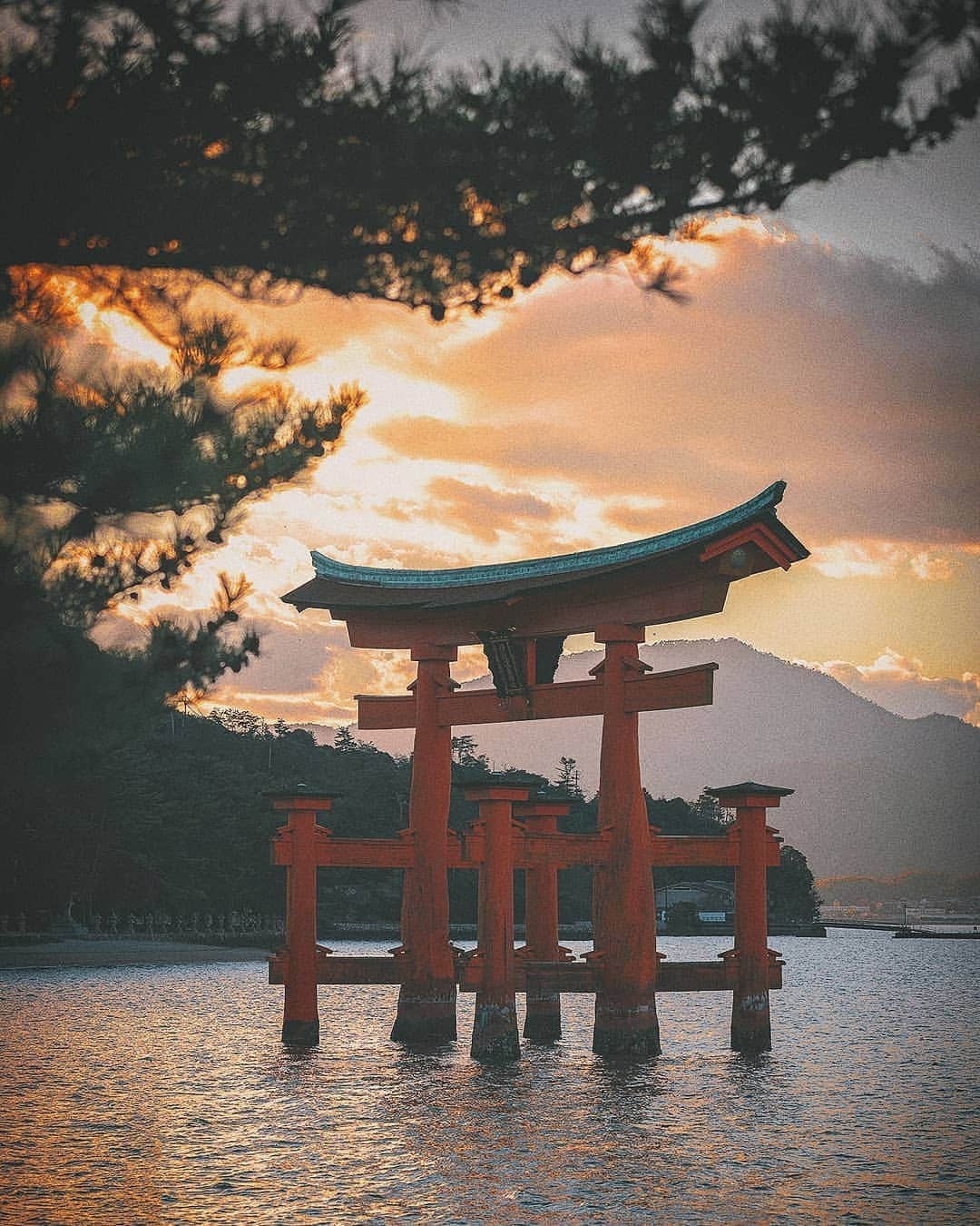 Berlin Tokyoさんのインスタグラム写真 - (Berlin TokyoInstagram)「⛩️ The doorway to the inner sanctuary. . . . 📍#hellofrom  #hiroshima , #japan . @instagram」8月10日 21時56分 - tokio_kid