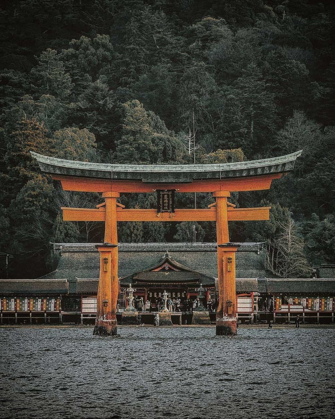 Berlin Tokyoさんのインスタグラム写真 - (Berlin TokyoInstagram)「⛩️ The doorway to the inner sanctuary. . . . 📍#hellofrom  #hiroshima , #japan . @instagram」8月10日 21時56分 - tokio_kid