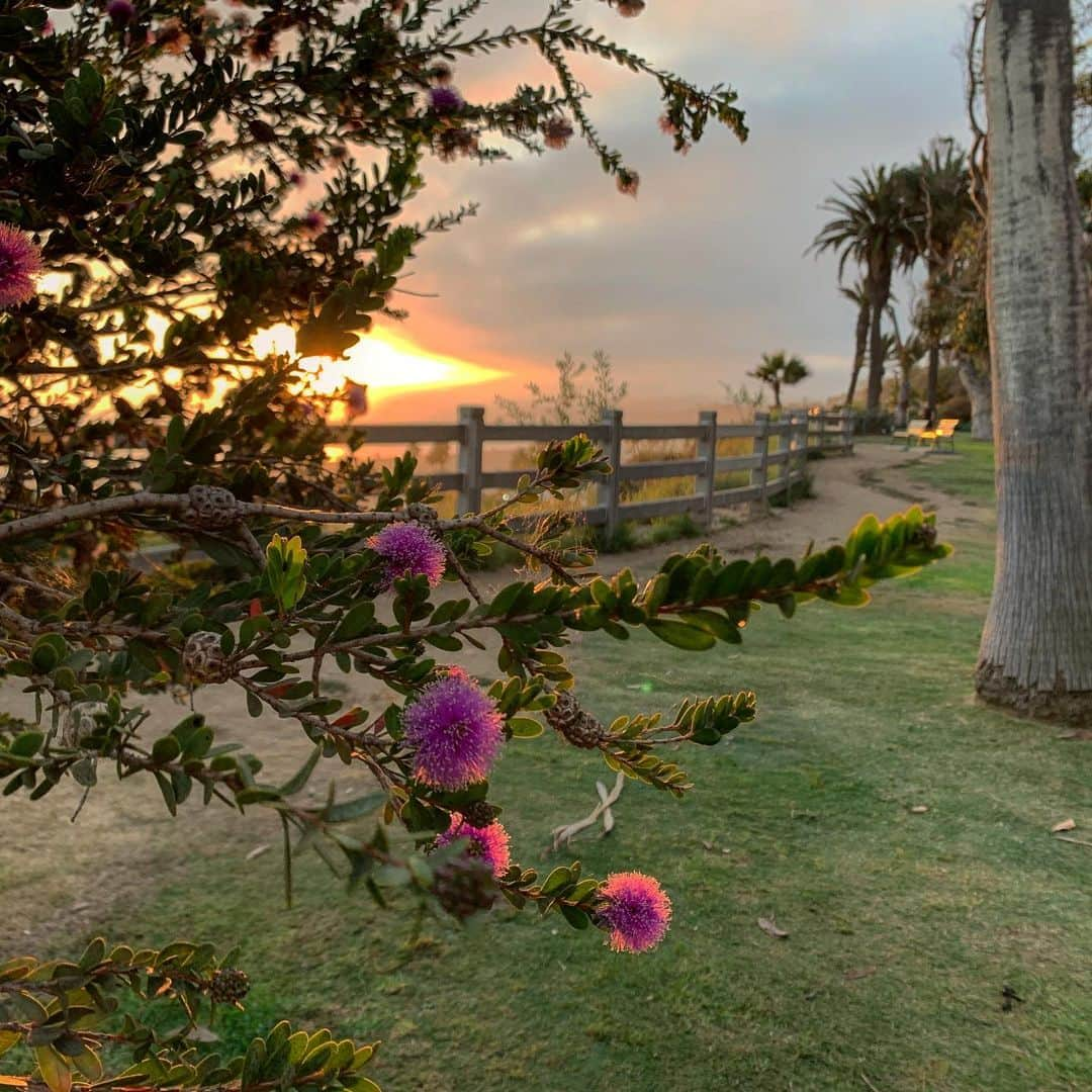 クリスティ・ブリンクリーさんのインスタグラム写真 - (クリスティ・ブリンクリーInstagram)「Nature is loved by what is best in us. Ralph Waldo Emerson 🌿」8月10日 16時36分 - christiebrinkley