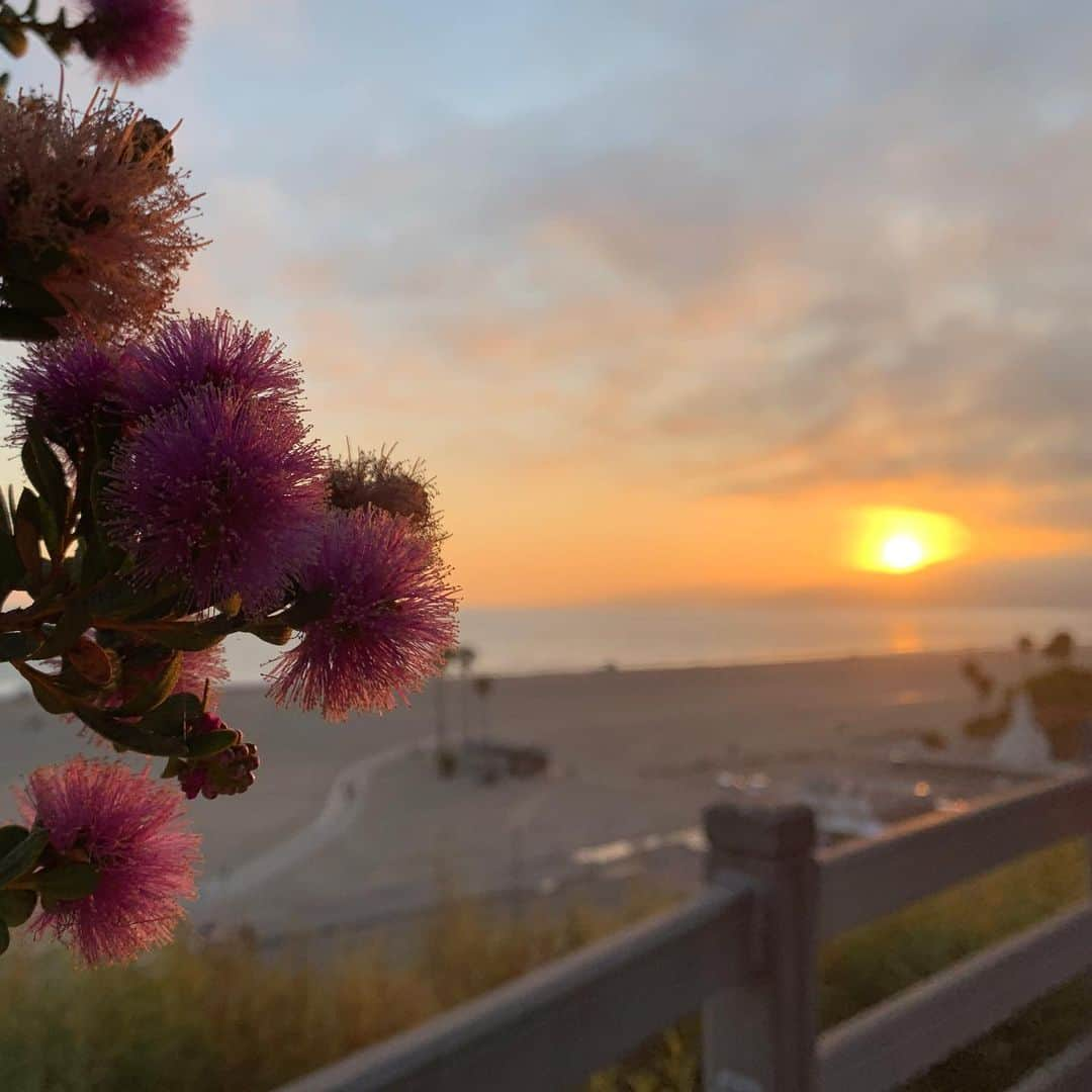 クリスティ・ブリンクリーさんのインスタグラム写真 - (クリスティ・ブリンクリーInstagram)「Nature is loved by what is best in us. Ralph Waldo Emerson 🌿」8月10日 16時36分 - christiebrinkley