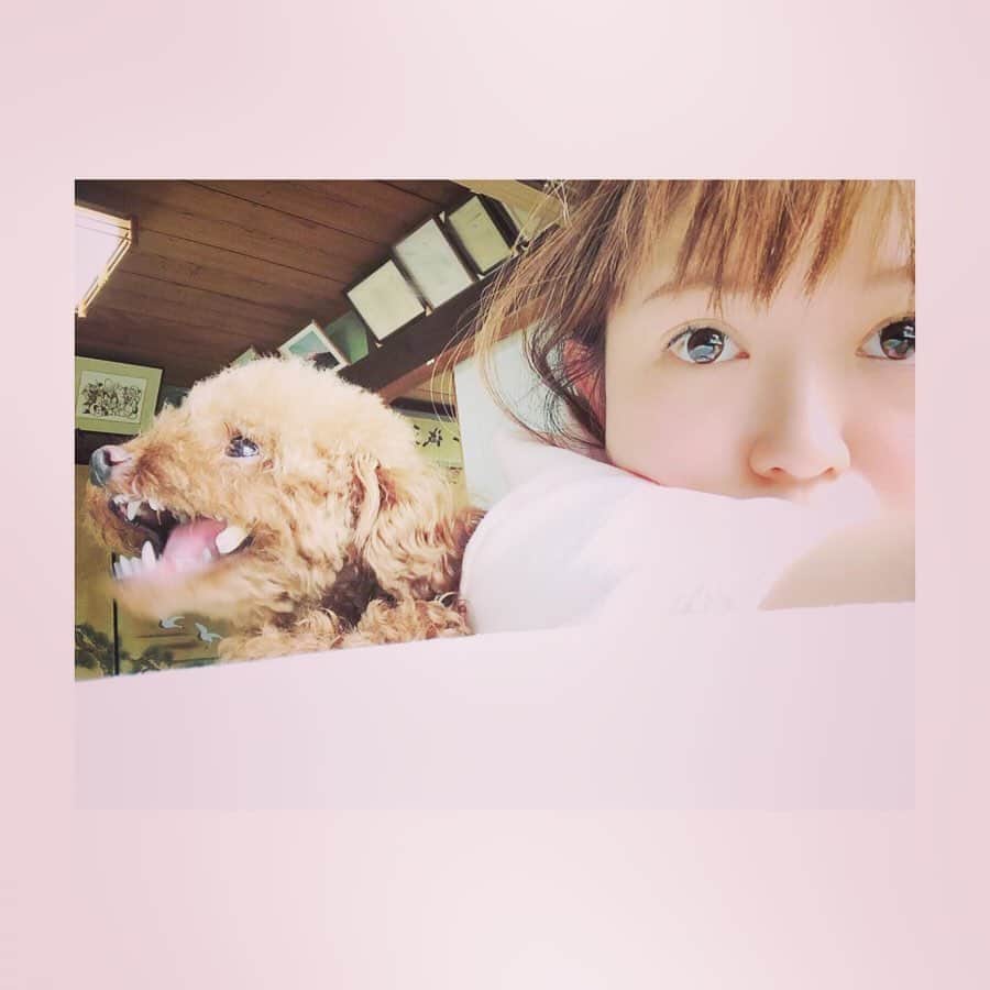牧野由依さんのインスタグラム写真 - (牧野由依Instagram)「休日。 うたた寝。 犬の圧。 骨かじる夢見たw 起きたら隣でなんかおやつかじってた。 . #かまちょさん  #遊んで攻撃 #半端ないプレッシャー  #かわいいけど」8月10日 16時56分 - yui_makino0119