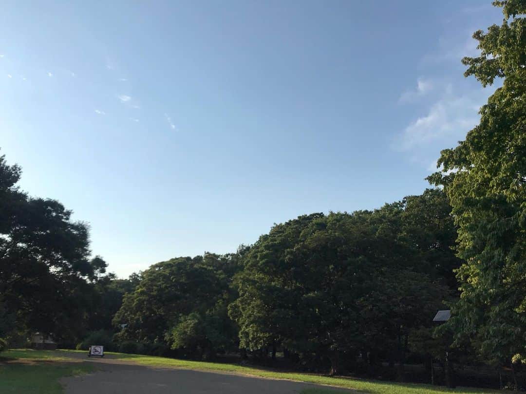 わたなべだいすけさんのインスタグラム写真 - (わたなべだいすけInstagram)「夏の夕方5時です。」8月10日 17時00分 - daisukewhatanabe