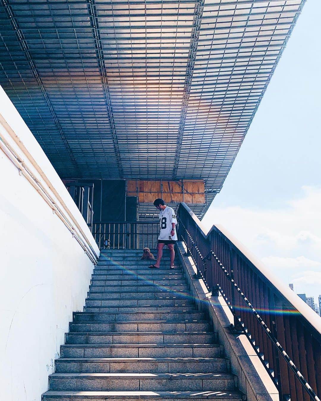 小塚源太のインスタグラム：「Tokyo Walk🐕 東京散歩 #Tokyo #walk #Ryogoku うちの🐾階段は上がらないし下がらない」