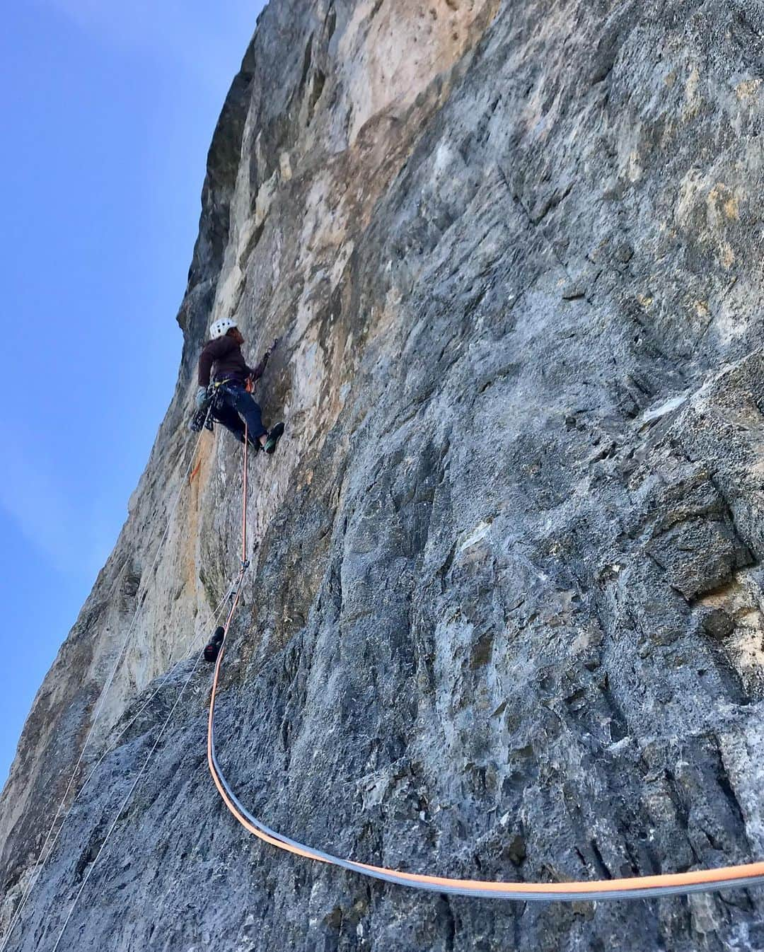 ニナ・カプレツさんのインスタグラム写真 - (ニナ・カプレツInstagram)「Opening a new route on the Eiger north face is a damn great adventure...especially with those crazy guys! Our “No A0 “ground up ethic made the setting very spicy. Thanks @arcteryx for the brand new Nuclei FL jacket and the Gamma SL hoody, the perfect clothes for that kind of alpine climbing. They might have some blood on it now... 😜  Huge thanks to @backdoor_shop for offering the E-bikes and @jungfraujochtopofeurope for bringing up our bags to the Eigergletscher. We had soooo much fun riding all the way up and back down from Grindelwald with the e bikes. 📸 @rogerschaeli  #lovelife #eigeradventure #newascent #alpineclimbing #petzlteam #helmetup #scarpaclimb  @arcteryx @petzl_official @scarpaspa @msr_gear @lyofood」8月10日 17時30分 - ninacaprez