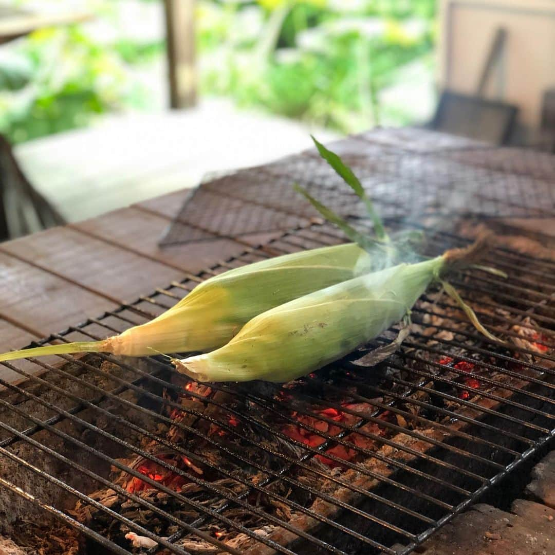 藤沢久美のインスタグラム