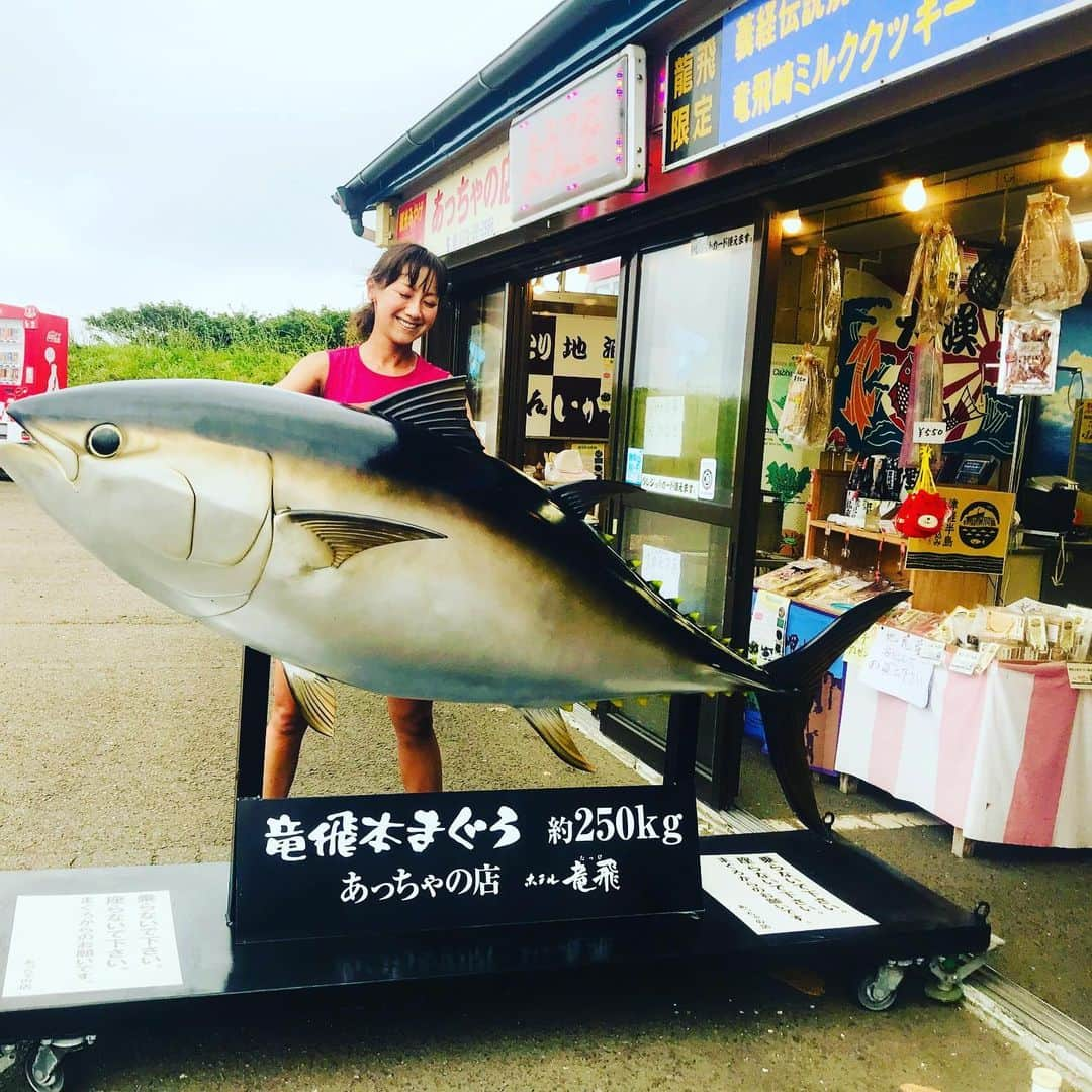 福島和可菜さんのインスタグラム写真 - (福島和可菜Instagram)「今日の、 FMヨコハマ  ジョグステーションは、 青森県からの生中継‼️聴いて下さった皆様、 ありがとうございました😊  明日は…✨龍飛・義経マラソン2019✨  舞ちゃんと共にゲストランナーです🏃 ホテルの周りを探検run😆 発見いっぱい☀️明日、楽しみだな🥰  #龍飛 #義経 #マラソン #2019 #海沿い #階段国道 #日本唯一 #339 #青函トンネル記念館 #北海道 #地元 #函館 #近いよ #本マグロ #いつかは #釣りたい #love #running #Fishing #青森県 #run #旅run #走る #ゲストランナー #🏃 #🐟 #❤」8月10日 17時53分 - fukushimawakana