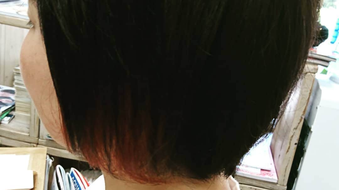 越智翼さんのインスタグラム写真 - (越智翼Instagram)「さっそく水槽が届きましたのでお引っ越ししましたー。  いい感じのサイズ感。金魚たちも喜んでることでしょう✨ ※  今日は名古屋からいつも来ていただいてるAさん家族の奥様が初のインナーカラーをしましたー。赤系のいい色になり喜んでいただけました✨  いつもカットの為に西宮に年3回帰ってきてくれます。カットしなければ帰ってきてないみたいです(笑)いつもご主人と二人でカットするのですが、今回は息子さん二人も切りましたー。4人とも満足いただけたみたいで仕事冥利につきます✨ ※ 次回は年末にお待ちしております☺️ ※ #水槽 #金魚 #インナーカラー #レッド #もうすぐ夏休み」8月10日 18時11分 - hair_and_smile_koko