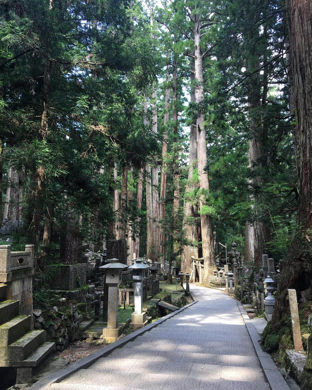 小西美穂さんのインスタグラム写真 - (小西美穂Instagram)「世界遺産の聖地、高野山に⛰🌲🌿﻿ ﻿ 写真１枚目私の後ろの「奥の院」は﻿ 弘法大師（空海）さまが、いまも生きて、﻿ 人々を見守っているとされる場所。﻿ ﻿ （聖域なので、ここから先は撮影も禁止）  ものすごく神聖な空気が流れていました。  パワーをもらえるといいな✨﻿✨✨ ﻿ #高野山 #歴史 #空海 #奥之院 #弘法大師 #旅 #世界遺産」8月10日 18時15分 - mihokonishi69