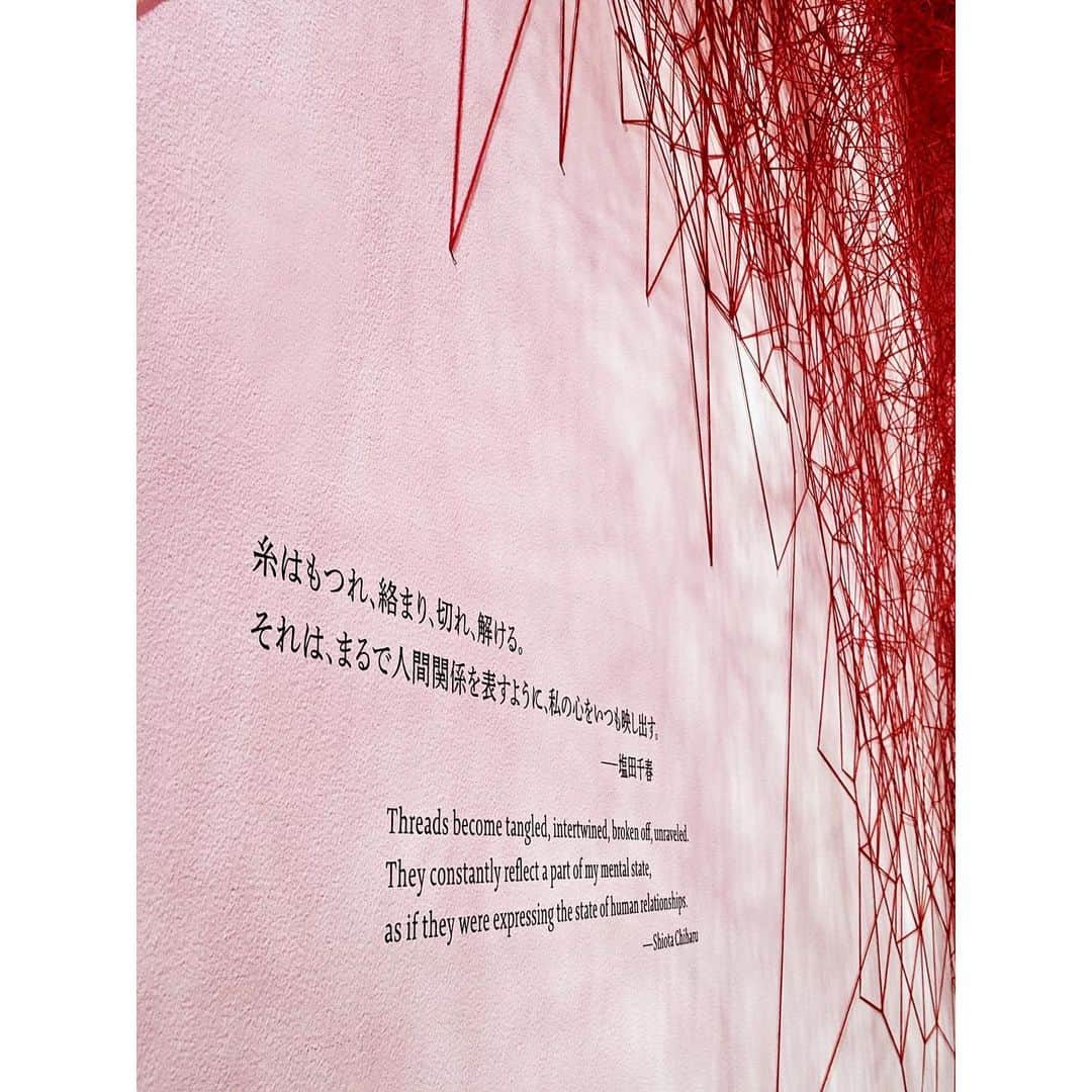 VANRIさんのインスタグラム写真 - (VANRIInstagram)「🔴⚫️ #塩田千春展 #魂がふるえる 先日行ってきました。 いや〜写真で見てもわかるように なかなかのインパクトですよね。 赤い糸の部屋は見た瞬間 毛細血管のようで ギョッとしちゃいました… 何が不思議って糸と糸が絡まってるんじゃなくて 一本一本しっかりアートなんですよね。 一度みたら忘れられないような衝撃的な作品ばかりでした。 人と人、人と物、いろんな繋がりを感じることができました。 展望台に行って東京タワーを見た時、 赤い糸でできたものかと一瞬錯覚が起きたのは きっとこの作品のインパクトのせいだ。笑 @tomomi_kyono お誘いありがとう✨ #森美術館 #art」8月10日 18時26分 - vanri0121