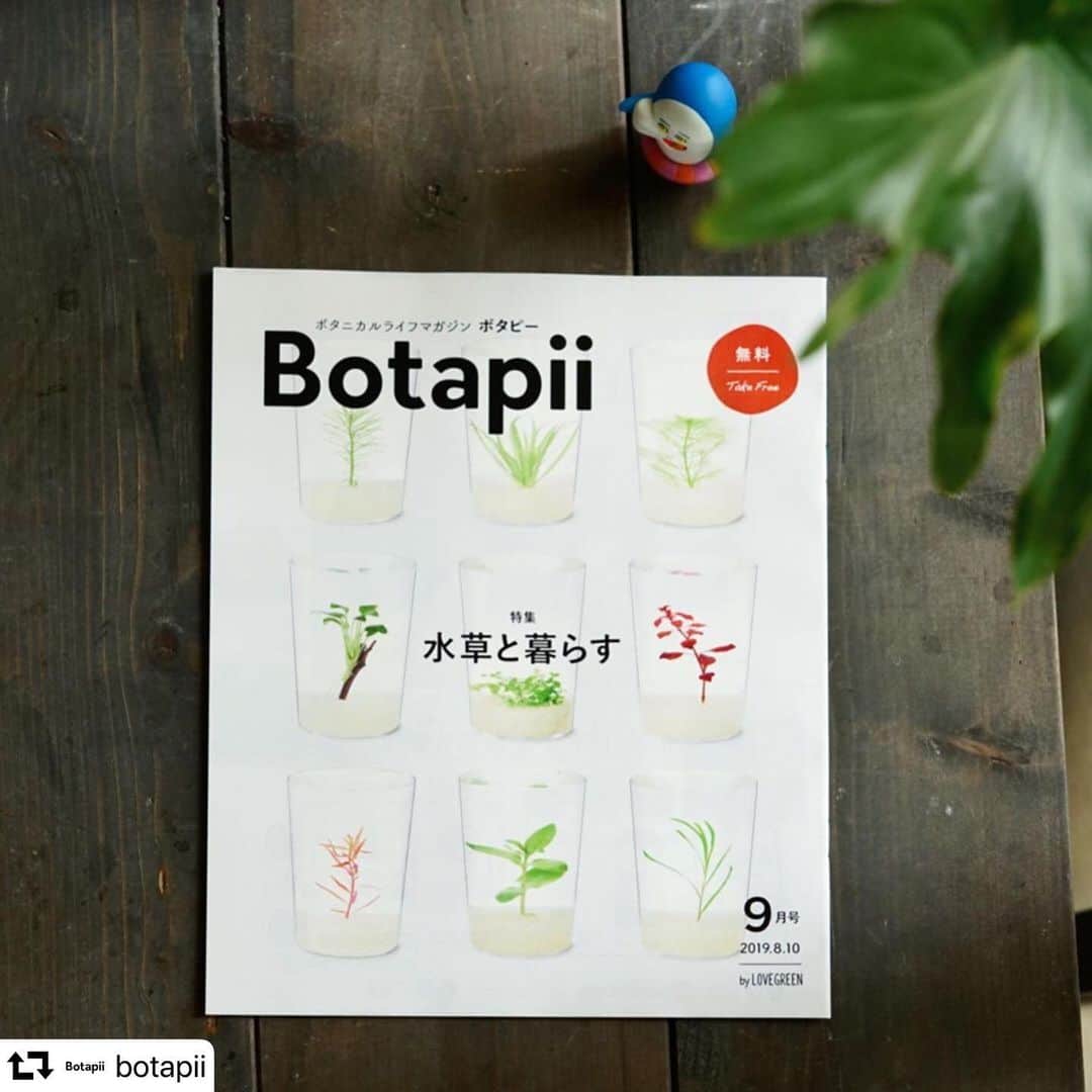 LOVEGREEN -植物と暮らしを豊かに。のインスタグラム