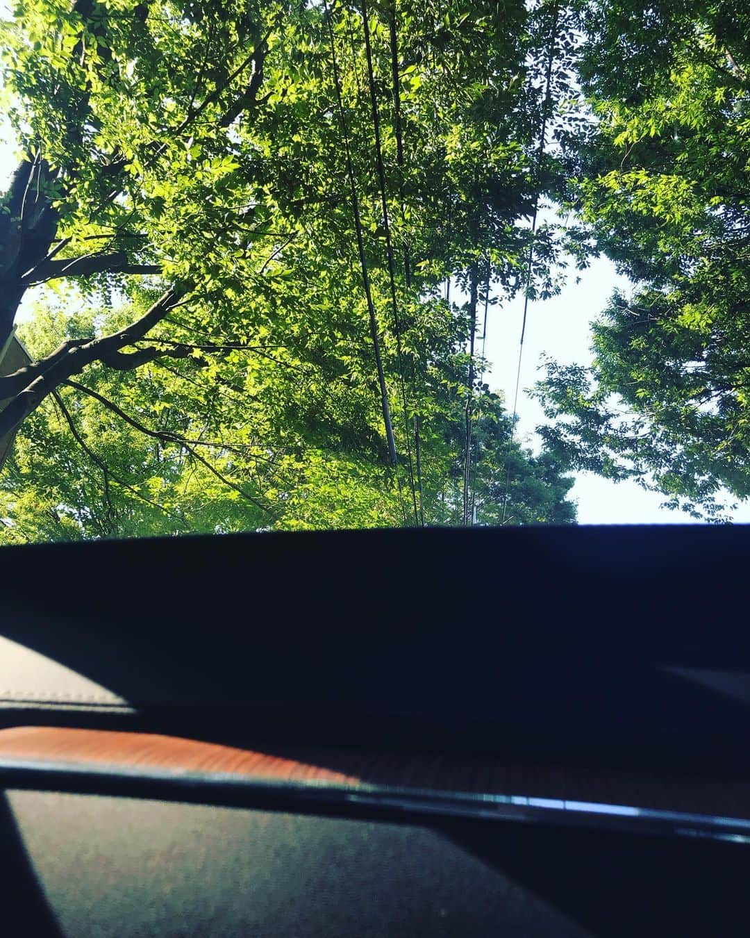 濱中鮎子さんのインスタグラム写真 - (濱中鮎子Instagram)「お嬢、チャイルドシートデビューは、ひとまず近場へ。 新しいことが目白押しの毎日ね、お嬢さん。  夏だなぁ。  #ちなみに私は運転出来ない😂 #ギャン泣き #お風呂入れなきゃ💦  #私がぐったり」8月10日 18時51分 - ayukohamanaka